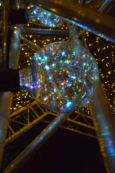 DSC_7015 (Large).JPG